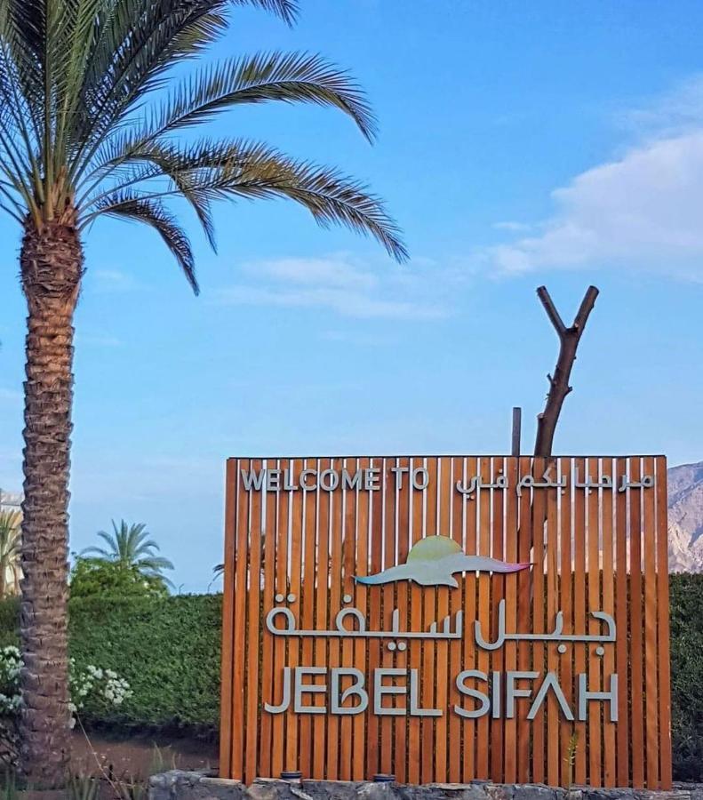 The Vibez - Jebel Sifah Mascate