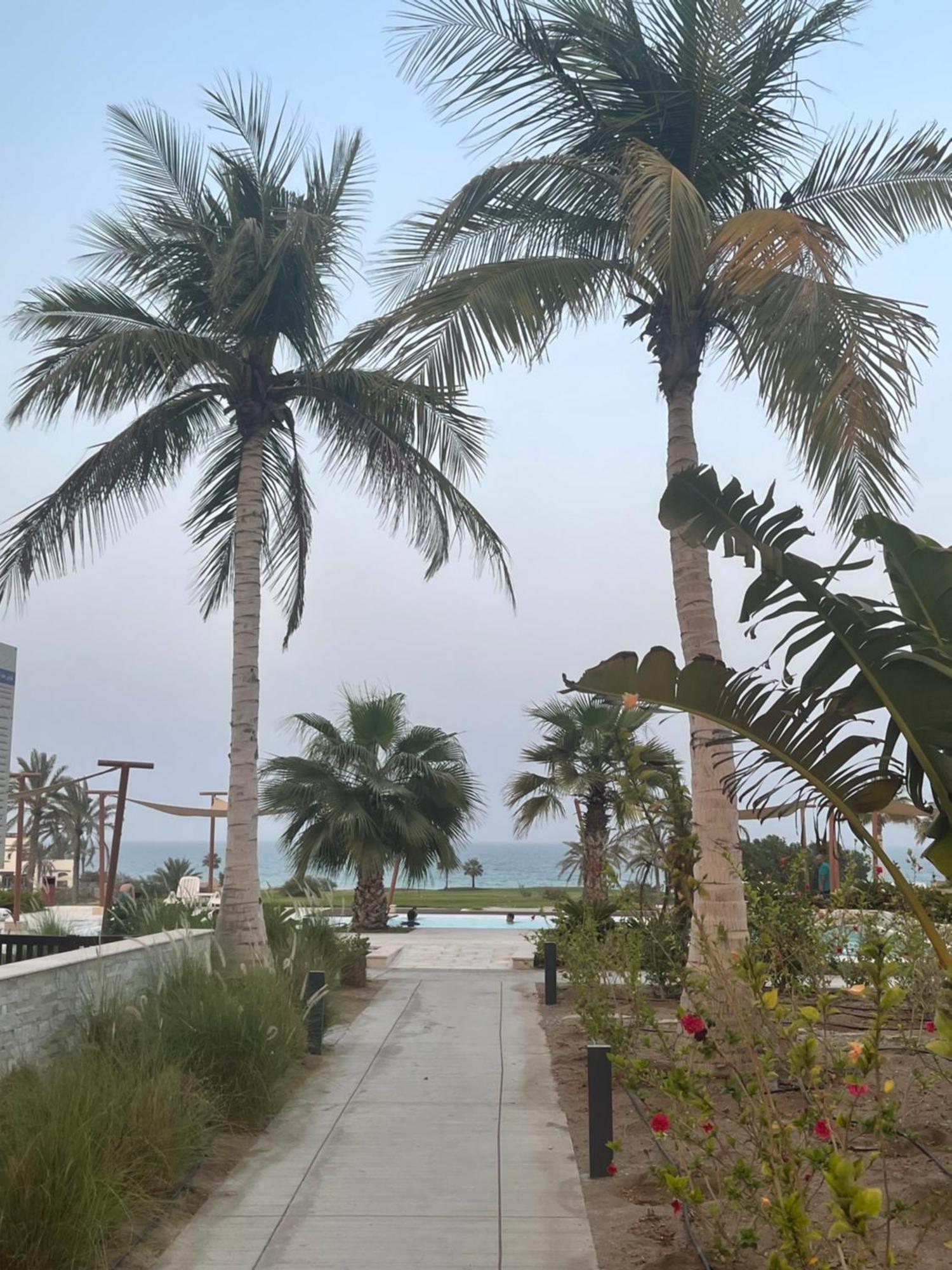 The Vibez - Jebel Sifah Appartement *
